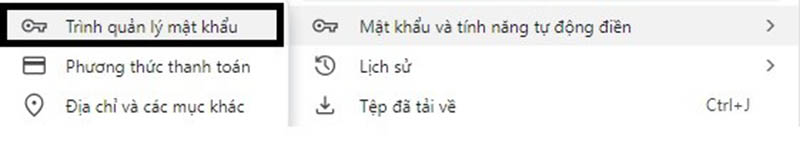 Hiển thị mục “Trình quản lý mật khẩu”