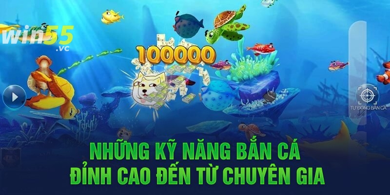 Những kỹ năng bắn cá đỉnh cao đến từ chuyên gia