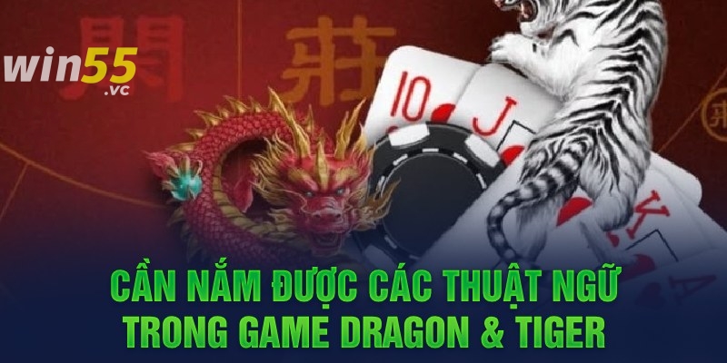 Hướng dẫn cách chơi Dragon & Tiger tại WIN55 dễ dàng